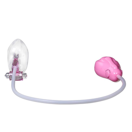 Pumpa je automatska za stimulaciju klitorisa i malih usana, sa vibratorom