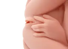 HERA.03+, masturbator žensko telo 3D, tri rupe sa vibracijama rotacije i glasa