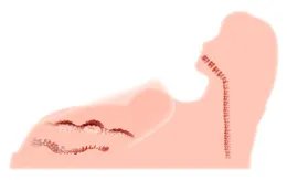 HERA.03+, masturbator žensko telo 3D, tri rupe sa vibracijama rotacije i glasa