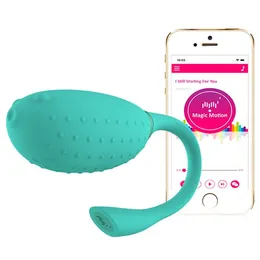 Magic fugu Vibracijaco, tirkizno