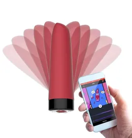 MAGIC MOTION Minivibrator Awaken