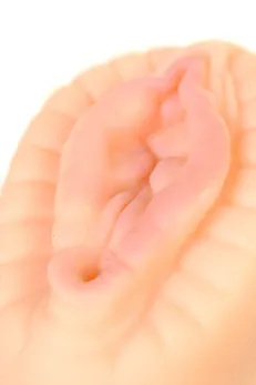 Masturbator realan TOIFA Juici Pussi Hot Bloom, vagina, TPR, telesni, 15 cm