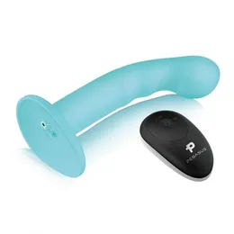 6in Remote Control Ripple p-Spot G-Spot univerzalni daljinski upravljač