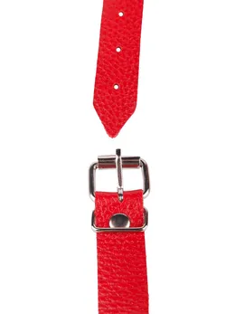 Geg crvena sa kuglicom od latexa -