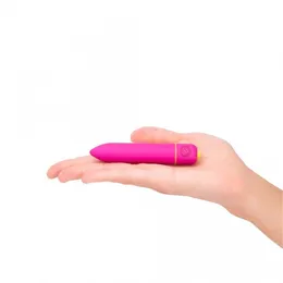 Pink Vibe Pover Bullet moćan mini stimulator