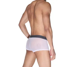 Muške poluprozirne boxerske Gaćice