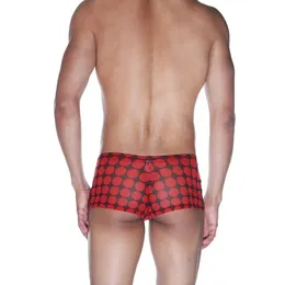 Muške boxerske gaćice od prozirne tkanine u grašku