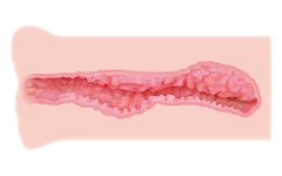 Nara Masturbator sa dvostrukim slojem