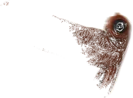 Reljefna mlaznica sa produžetkom i vibracijom bi-016011