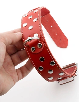 Kopija proizvoda erotska ogrlica od prave kože bdsm za odrasle