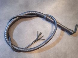 Pletenica: Bičsrebro