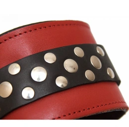 BDSM od crvene kože (P2541)