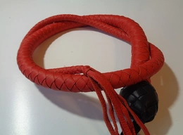 Pletenica: zmija Crveni Zmaj