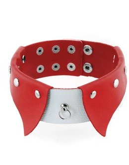 Ogrlica Erotic ovratnik-Choker sa povodcem za BDSM
