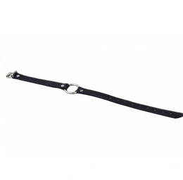 Expanzioni geg sa prstenom (Šifra: p44, p4401)