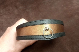 Ogrlica od čokera sa prstenom od kože