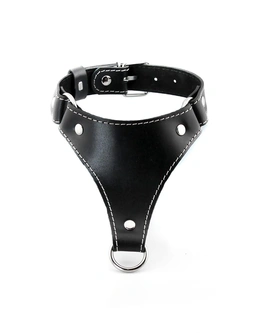 Ogrlica sa povodcem bdsm erotska 18+