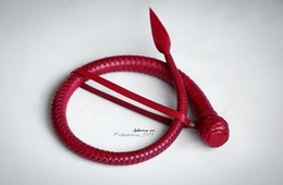 Pljačka jednorepa zmija