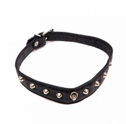 Ogrlica za ogrlicu sa ukrasnim prstenom (P288)