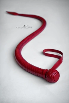 Pljačka jednorepa zmija