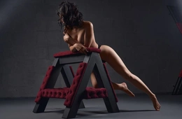 BDSM instalacija Big Horse / BDSM nameštaj