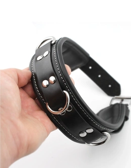 Premium ovratnik je mekan sa povodcem i kukama za lisice