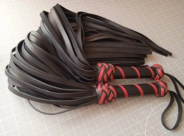 Parni flogeri i zmije