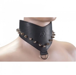 BDSM ogrlica ptica  sa šiljcima (R293)