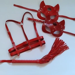 Maska, portupea, garteri, pletenica, lisice, Choker