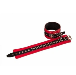 BDSM od crvene kože (P2541)