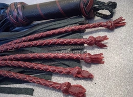 Mačka-flogger Bordo