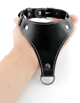 Ogrlica sa povodcem bdsm erotska 18+