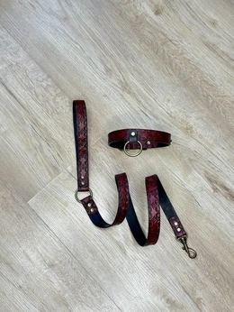 Čoker i reljefni kožni povodac