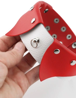 Ogrlica Erotic ovratnik-Choker sa povodcem za BDSM