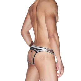 Prugasti sivo-crni džoki