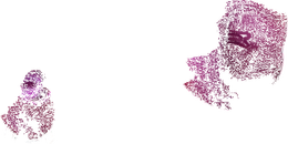 Stimulans klitoris sa яzыčkom Love to Love DREAMER - IRIDESCENT BERRY