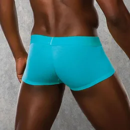 Plavi boxeri DOREANSE skraćeni poluprozirni