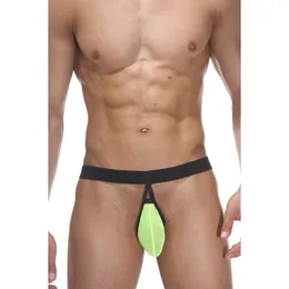 Gaćice muške tange sa zelenom salatom