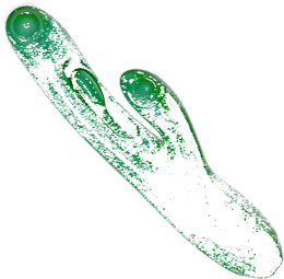 Inovativni vibrator zec Amovibe Zenora