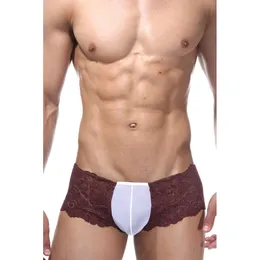 Smeđi čipkasti hipsi sa belim umetkom