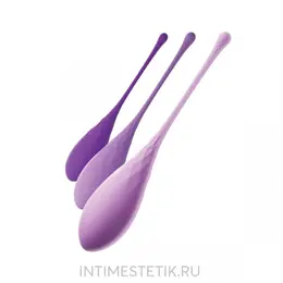 Fantasi for Her Kegel Train-Her set mašina za pranje karličnog dna