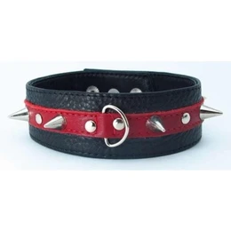 Ogrlica od šiljaste kože 55012ars