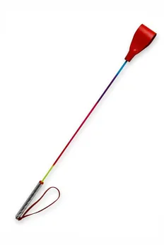 Stek sa obojenom šipkom i pravougaonim crvenim vrhom