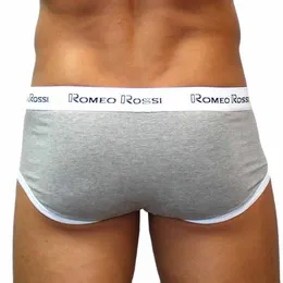 Gaćice muške brife su sive
