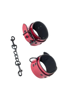 Parti Hard Bizzare Lisice