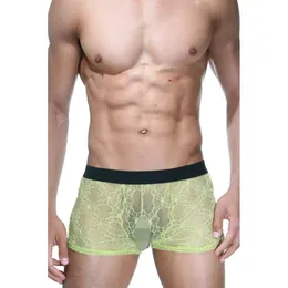 Zeleni boxeri od čipke