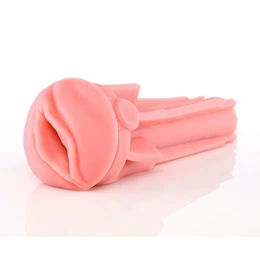 Masturbator Fleshlight Pink Lady Destroya, vagina