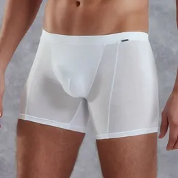 Beli boxeri DOREANSE izduženi poluprozirni