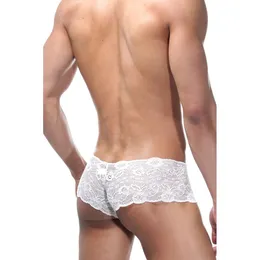 Plavi čipkasti hipsi sa crnim umetkom