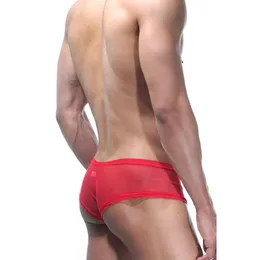 Srebrno-crvene Hips Gaćice